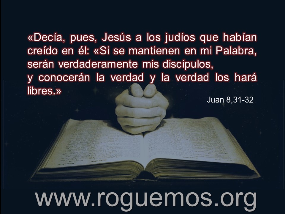 siempre libres