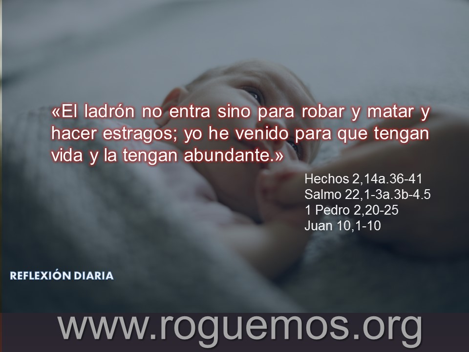 tengan vida