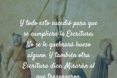 al_que_traspasaron