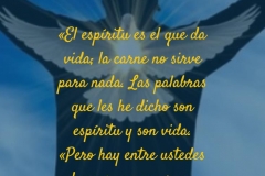 El espíritu es el que da vida