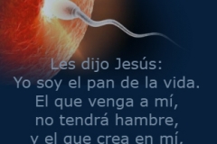 juan-06-35