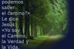 juan-14-05