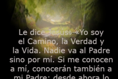 juan-14-06