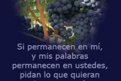 juan-15-07