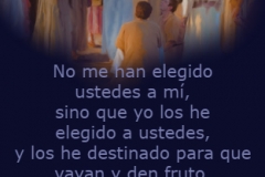 juan-15-16