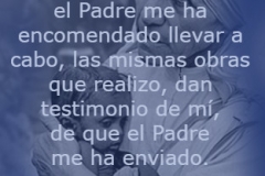 juan-5-36