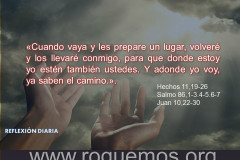los llevaré conmigo