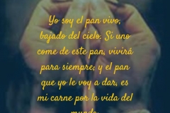 es mi carne por la vida del mundo
