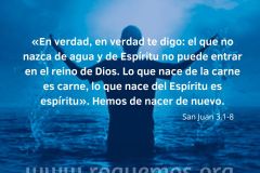 nacer de nuevo - 1