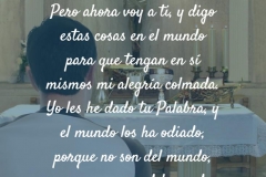 no_son_del_mundo