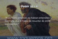 resucitar de entre los muertos