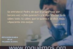 tú lo sabes todo