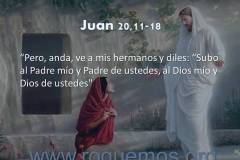 ve a mis hermanos