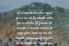yo_los_elegi