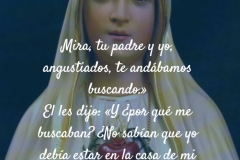 en_la_casa_de_mi_padre