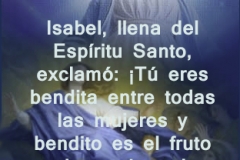 lucas-01-41
