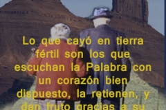 lucas-08-15