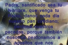 lucas-11-2-4