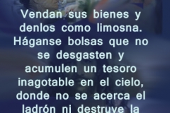 lucas-12-33