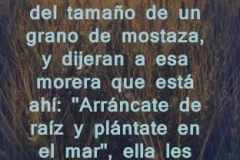 lucas-17-06