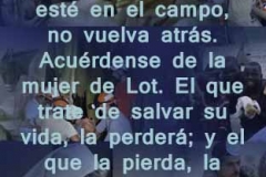 lucas-17-31