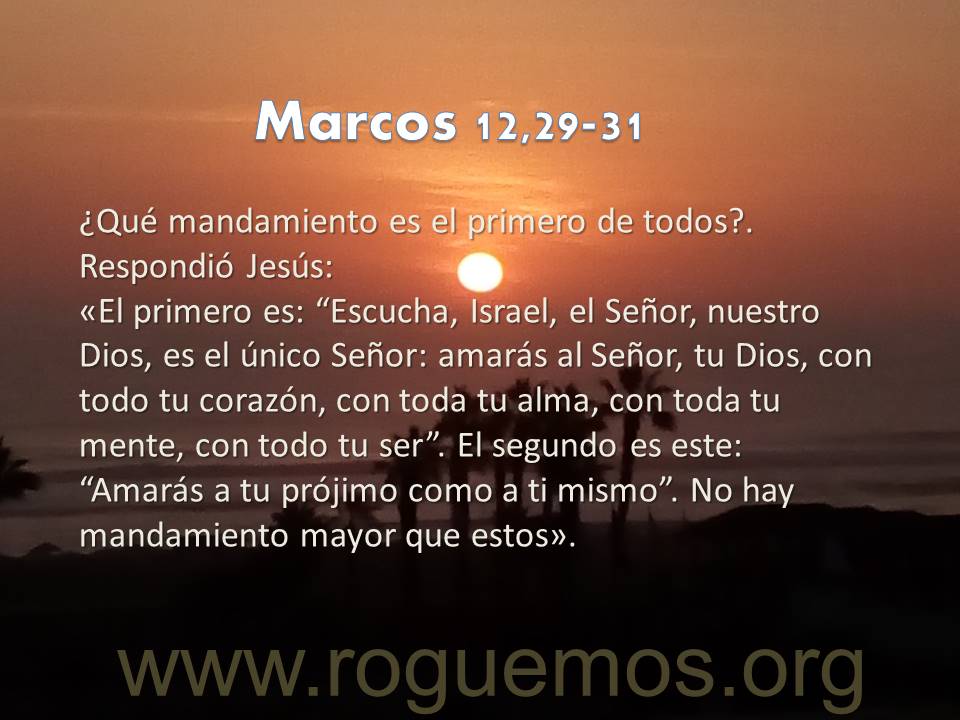 amarás al Señor