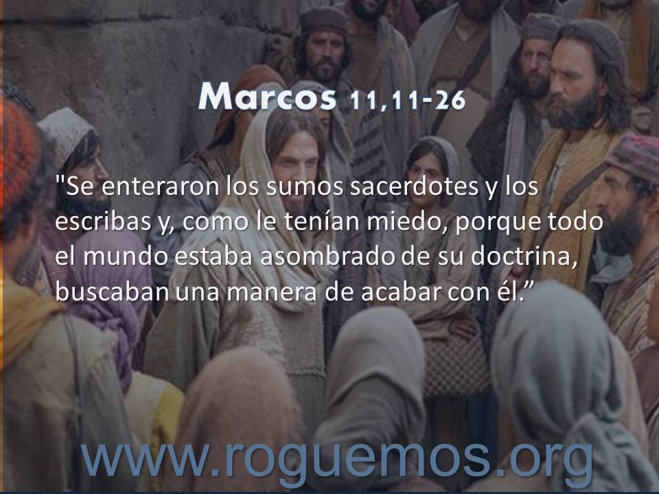 doctrina