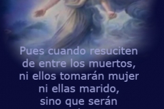 marcos-12-25