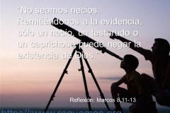 no_seamos_necios