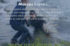 el que quiera salvar su vida la perderá