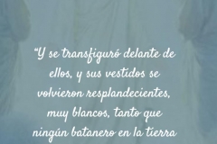 se transfiguró