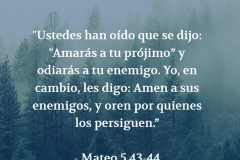24_2_18_enemigos