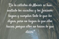 27_2_18_catedra