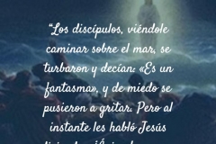 de miedo se pusieron a gritar