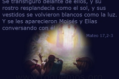 su rostro resplandecía