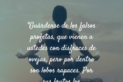falsos profetas