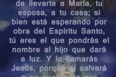 mateo-01-20