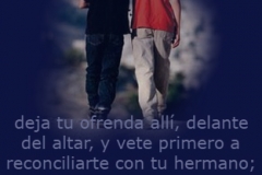 mateo-05-24