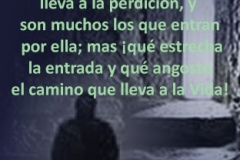 mateo-07-06