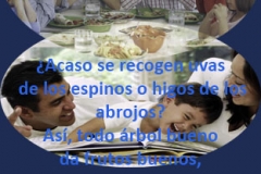 mateo-07-16