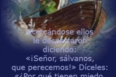 mateo-08-25