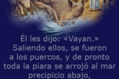 mateo-08-32