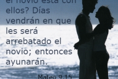 mateo-09-15