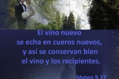 mateo-09-17
