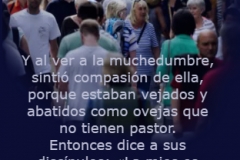 mateo-09-36