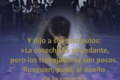 mateo-09-37