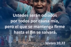 mateo-10-22