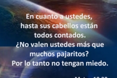 mateo-10-30