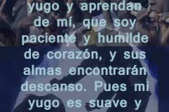 mateo-11-29