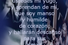 mateo-11-29a